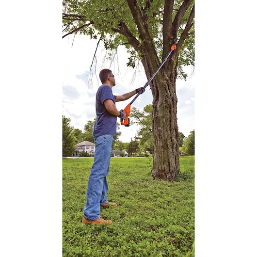 Photo of person using BLACKDECKER BCPP120D1 pole saw to trim tree branches outdoors.
