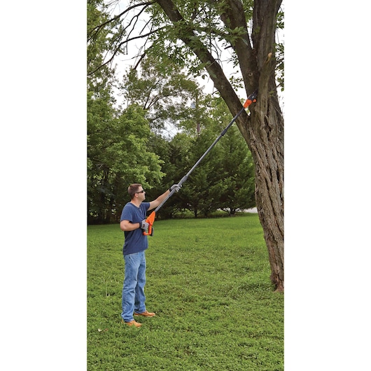 Photo of a person using a BLACKDECKER BCPP120D1 cordless pole saw to trim high tree branches in a grassy yard.