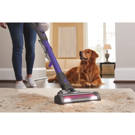 BLACKDECKER BSV20PET stick vacuum cleaning carpet, pet in background, indoor setting.