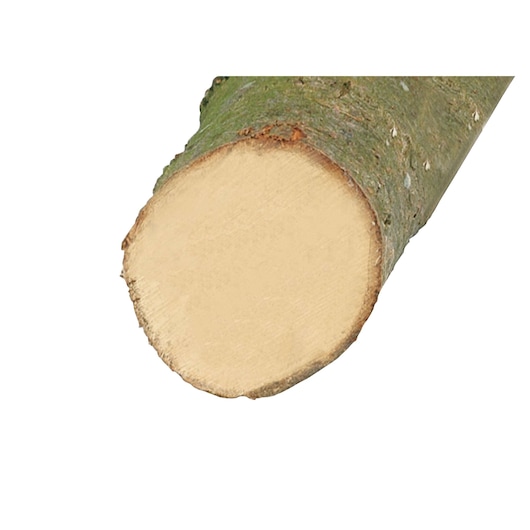 BLACKDECKER GK1740 log cross-section photo, showing freshly cut wood and bark, white background